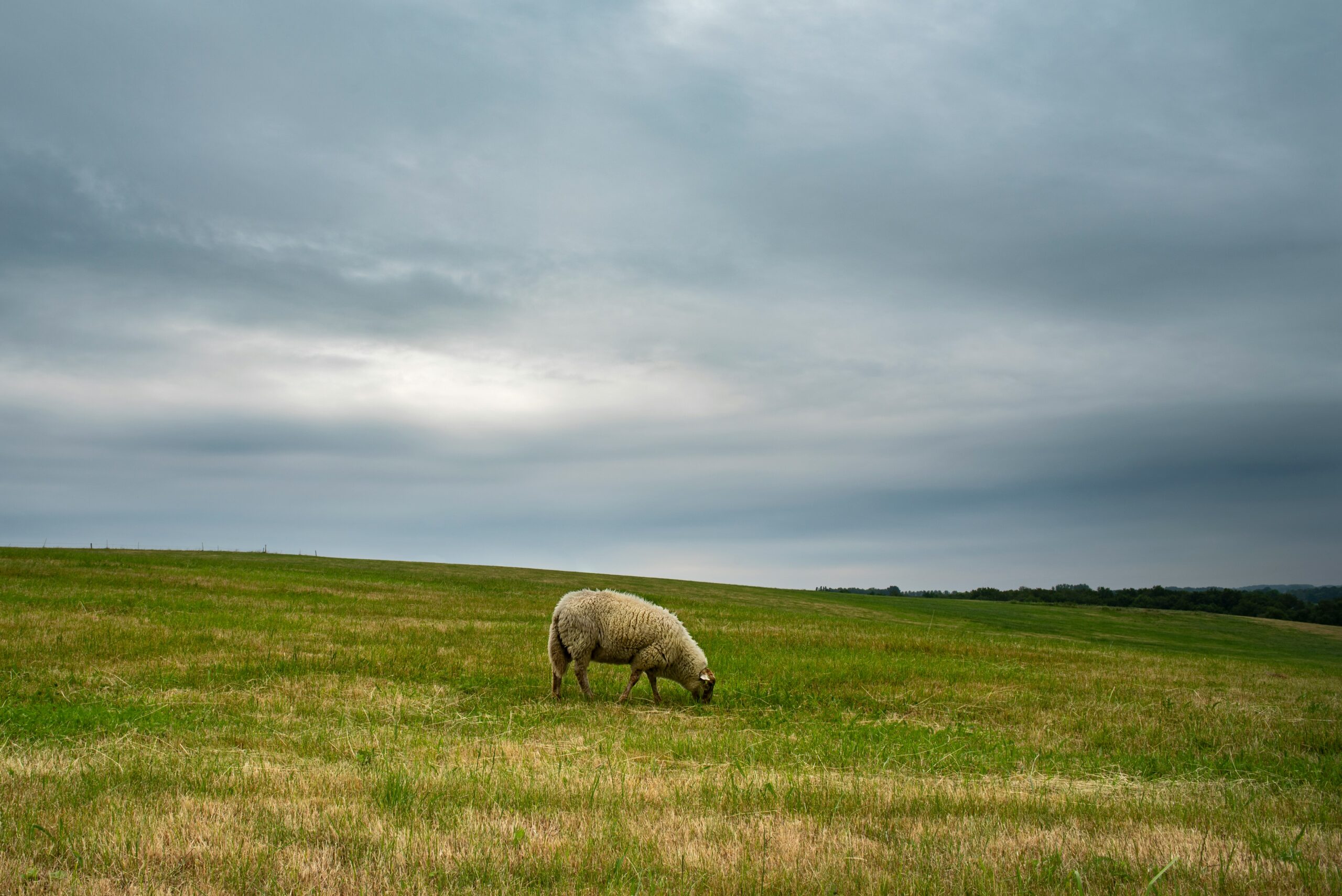 Chased By God